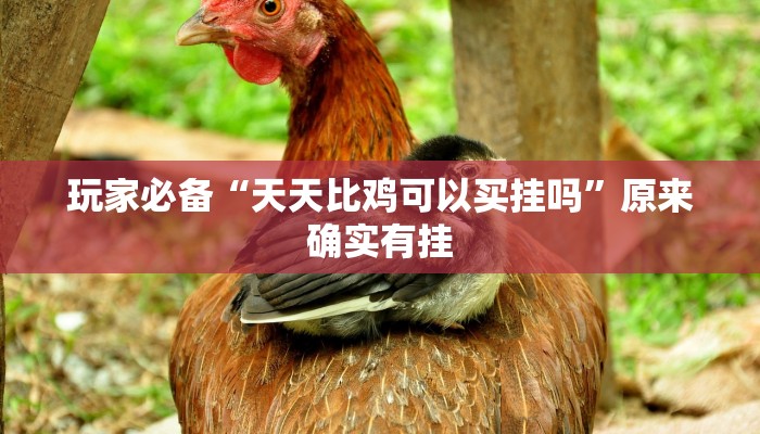 开挂辅助工具“懒人斗十四确实真的有挂”(详细开挂教程)