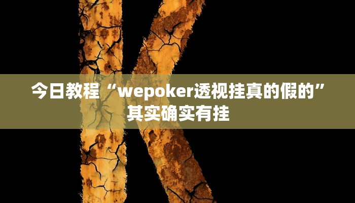 今日教程“wepoker透视挂真的假的”其实确实有挂