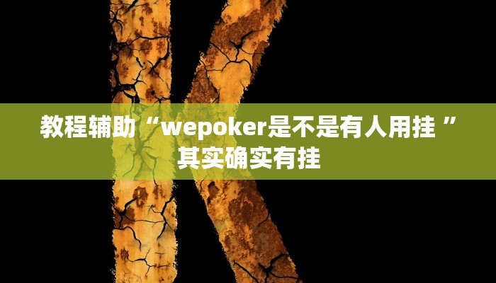 玩家辅助神器:WePoKer开挂透视”原来确实有挂