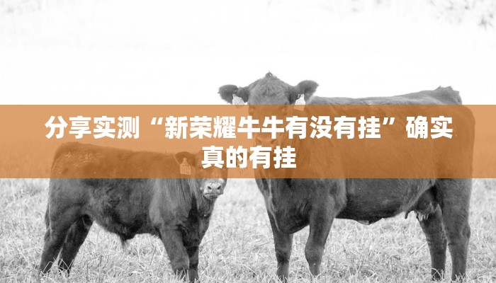 分享实测“新荣耀牛牛有没有挂”确实真的有挂