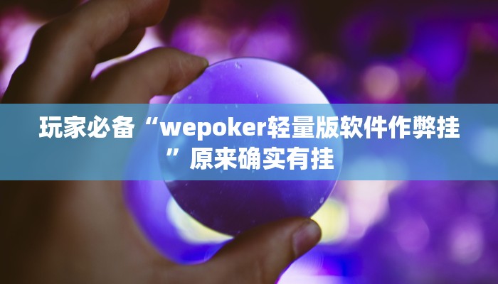 玩家辅助神器:“wpk有没有透视挂””其实确实有挂