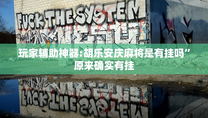 万能开挂辅助“好友赣南麻将开挂方法”详细分享装挂步骤教程