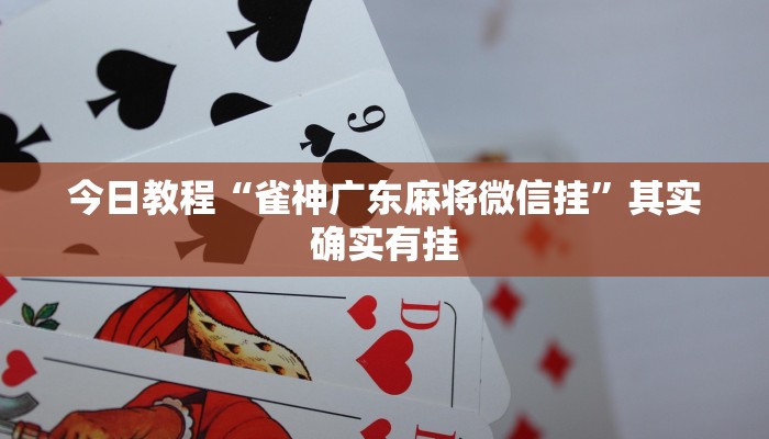 教程辅助“微乐广东麻将开挂神器下载”详细开挂教程