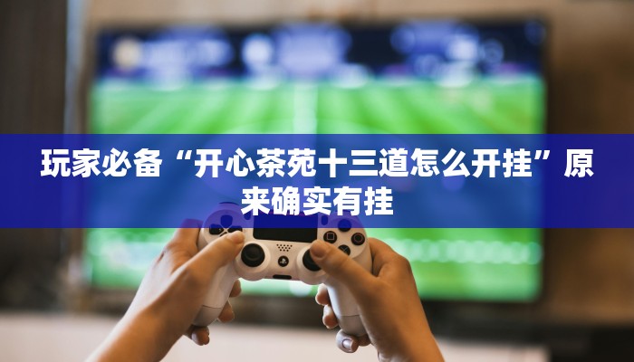 必备科技“wepoker 私人局作弊挂”![果然有透视挂]