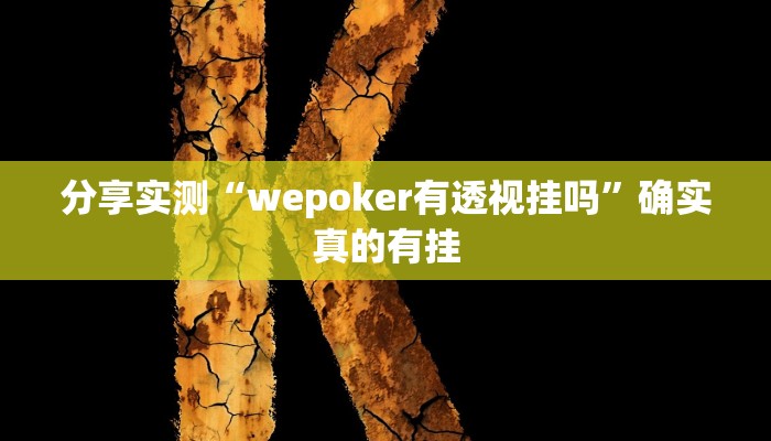 玩家辅助神器:wepoker德州辅助软件挂”原来确实有挂