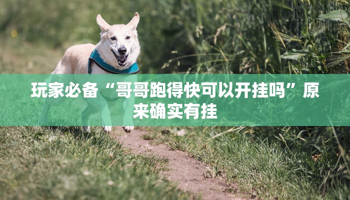 必备科技“畅游贵州麻将真的有挂吗”其实确实有挂 必备科技“畅游贵州麻将真的有挂吗”其实确实有挂