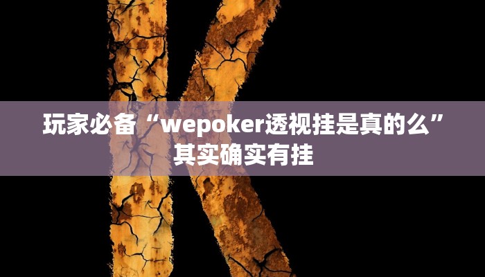玩家必备“wepoker透视挂是真的么”其实确实有挂