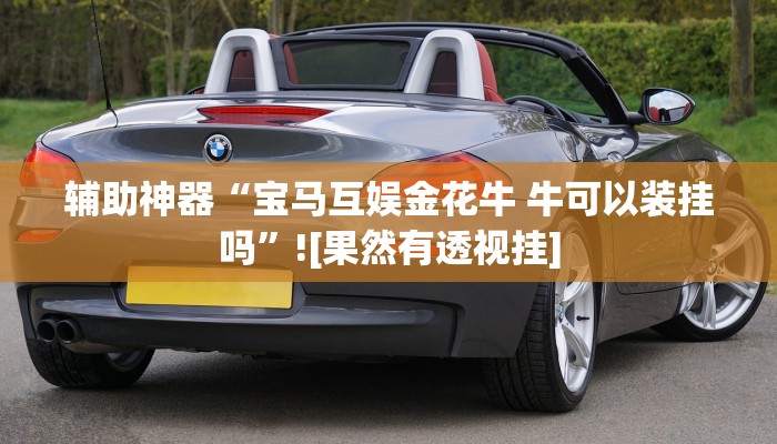 辅助神器“宝马互娱金花牛 牛可以装挂吗”![果然有透视挂]
