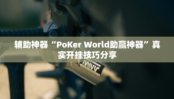 万能开挂辅助“丽水都菜开挂神器”分享必要外挂教程 万能开挂辅助“丽水都菜开挂神器”分享必要外挂教程