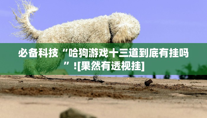 分享实测“新鸿狐大厅透视挂”确实真的有挂 分享实测“新鸿狐大厅透视挂”确实真的有挂