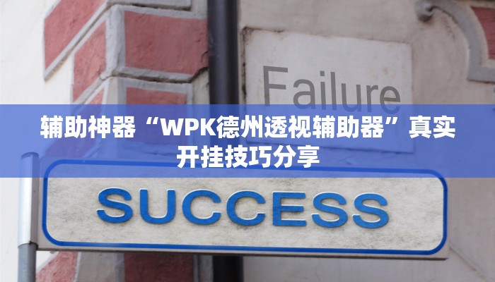 辅助神器“WPK德州透视辅助器”真实开挂技巧分享