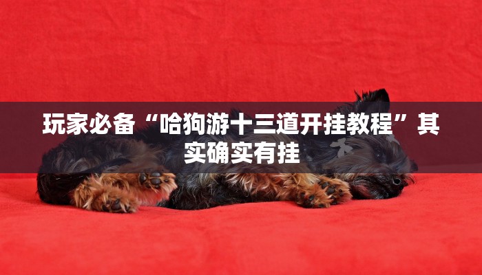 玩家辅助神器:心动联盟有挂吗”原来确实有挂