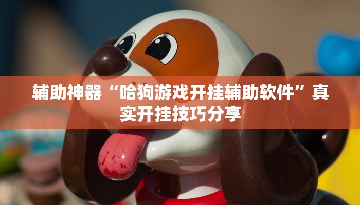 实测教程”微乐斗地主万能透视软件”2025开挂教程步骤