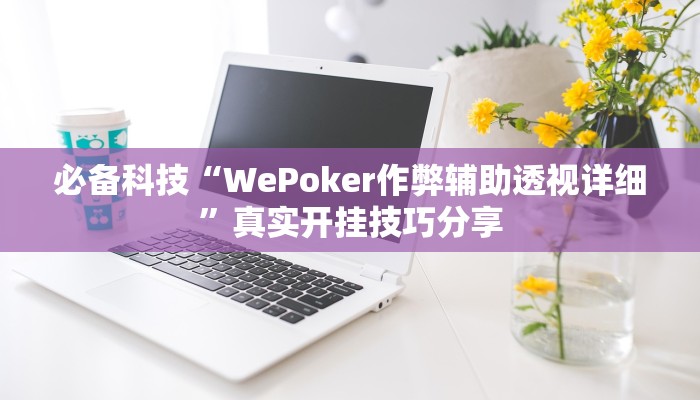 必备科技“WePoker作弊辅助透视详细”真实开挂技巧分享