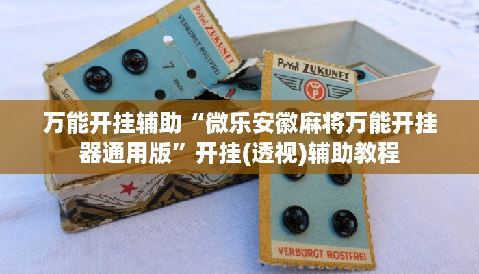 教程辅助“丽水都菜怎么开挂”(详细开挂教程) 教程辅助“丽水都菜怎么开挂”(详细开挂教程)