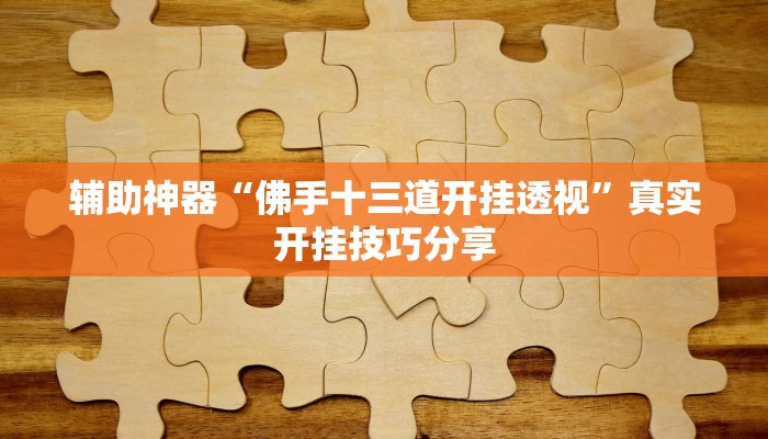 辅助神器“佛手十三道开挂透视”真实开挂技巧分享