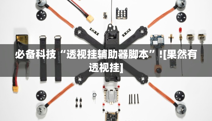 必备科技“透视挂辅助器脚本”![果然有透视挂]