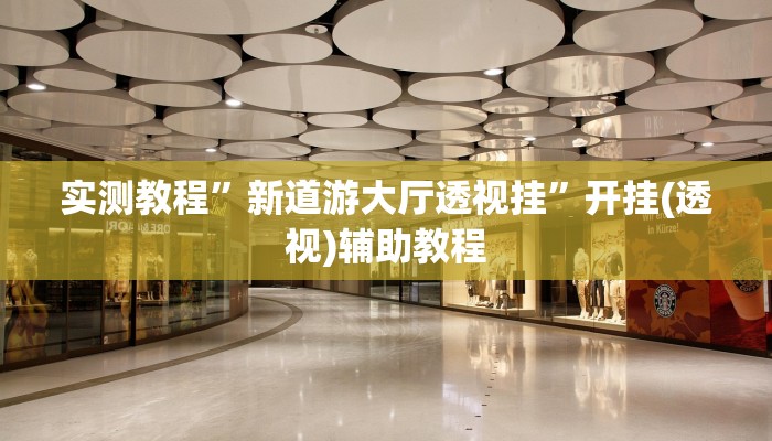 实测教程”新道游大厅透视挂”开挂(透视)辅助教程