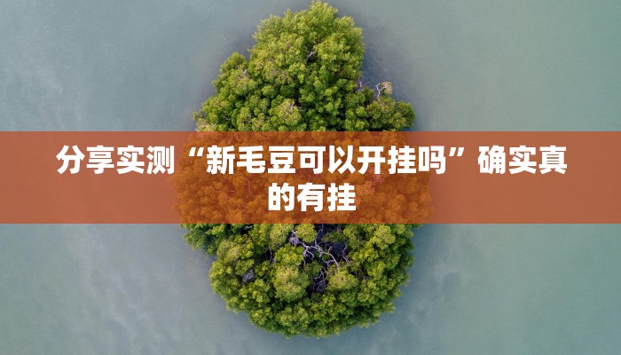 分享实测“新毛豆可以开挂吗”确实真的有挂 分享实测“新毛豆可以开挂吗”确实真的有挂