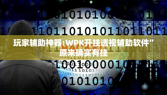 玩家辅助神器:WPK开挂透视辅助软件”原来确实有挂