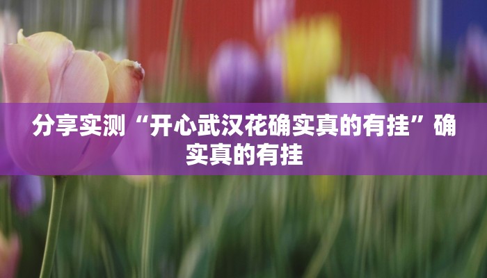 分享实测“开心武汉花确实真的有挂”确实真的有挂