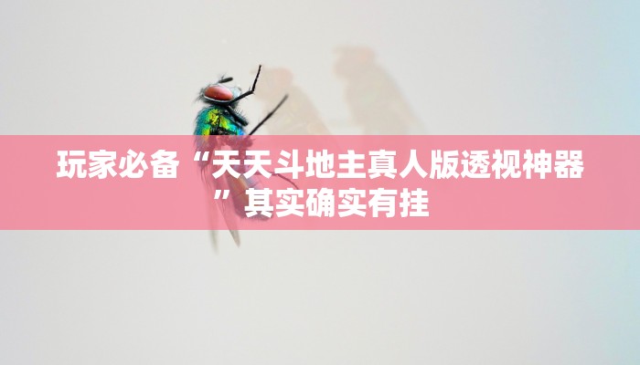 玩家必备“天天斗地主真人版透视神器”其实确实有挂 玩家必备“天天斗地主真人版透视神器”其实确实有挂