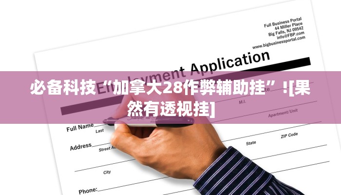 必备科技“加拿大28作弊辅助挂”![果然有透视挂]