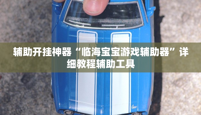 辅助开挂神器“临海宝宝游戏辅助器”详细教程辅助工具