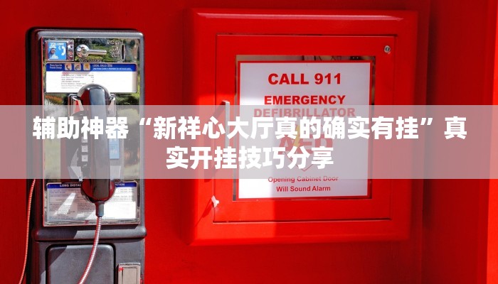 辅助神器“新祥心大厅真的确实有挂”真实开挂技巧分享