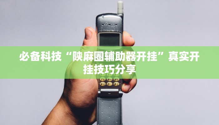 必备科技“陕麻圈辅助器开挂”真实开挂技巧分享