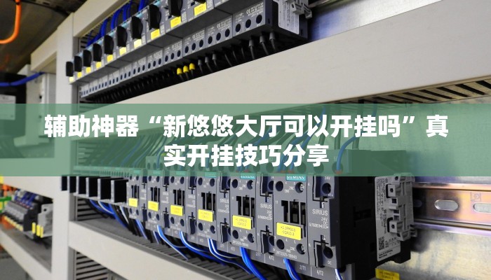 辅助神器“新悠悠大厅可以开挂吗”真实开挂技巧分享