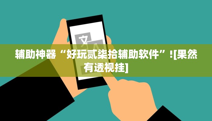 辅助神器“好玩贰柒拾辅助软件”![果然有透视挂]