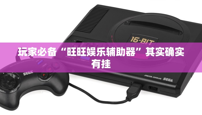 玩家必备“旺旺娱乐辅助器”其实确实有挂 玩家必备“旺旺娱乐辅助器”其实确实有挂