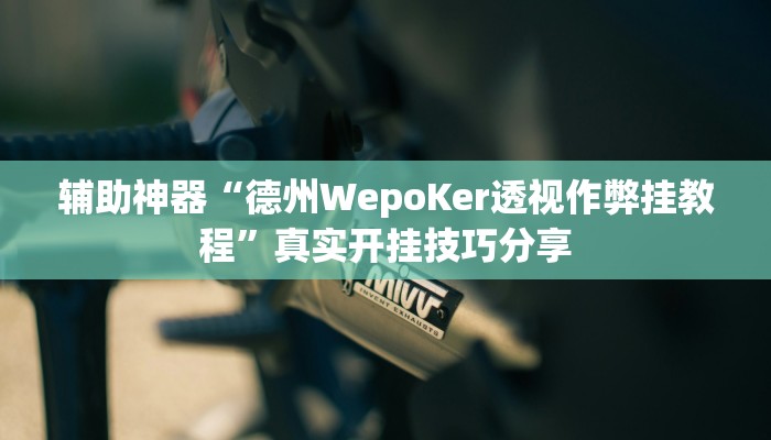 辅助神器“德州WepoKer透视作弊挂教程”真实开挂技巧分享 辅助神器“德州WepoKer透视作弊挂教程”真实开挂技巧分享