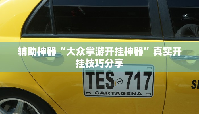 辅助神器“大众掌游开挂神器”真实开挂技巧分享