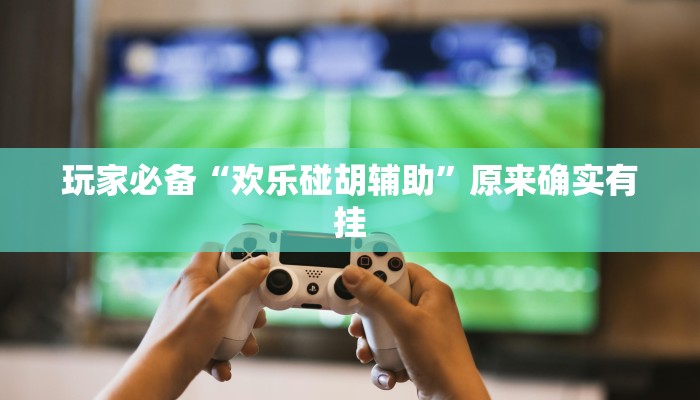 玩家必备“欢乐碰胡辅助”原来确实有挂