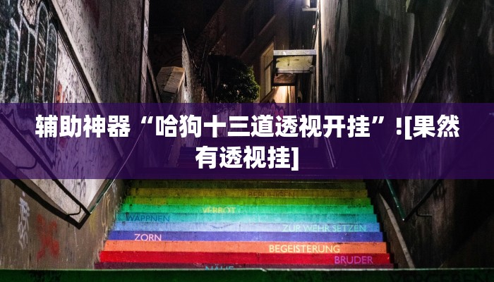 辅助神器“哈狗十三道透视开挂”![果然有透视挂]