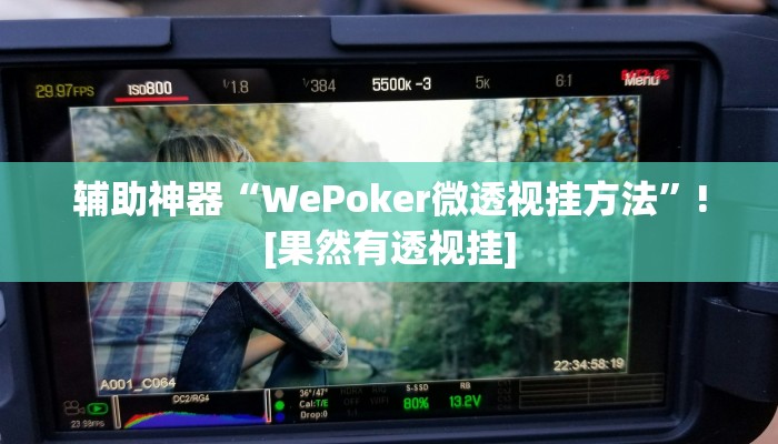 辅助神器“WePoker微透视挂方法”![果然有透视挂]