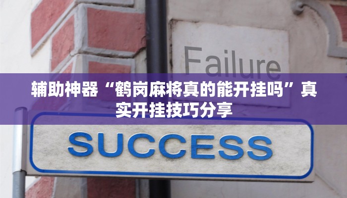 辅助神器“鹤岗麻将真的能开挂吗”真实开挂技巧分享