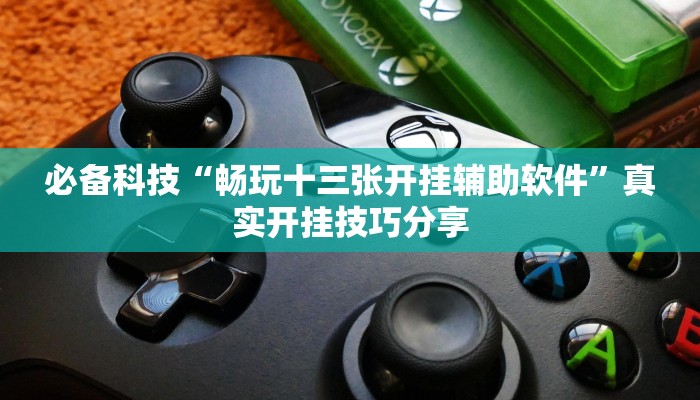 必备科技“畅玩十三张开挂辅助软件”真实开挂技巧分享