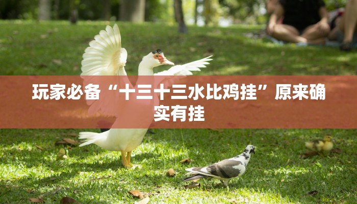 玩家必备“十三十三水比鸡挂”原来确实有挂