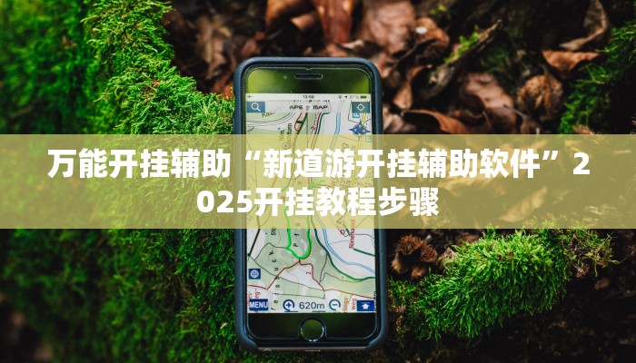 万能开挂辅助“新道游开挂辅助软件”2025开挂教程步骤