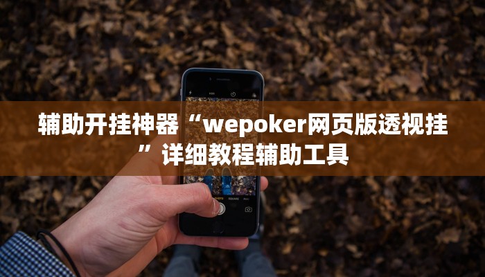 辅助开挂神器“wepoker网页版透视挂”详细教程辅助工具 辅助开挂神器“wepoker网页版透视挂”详细教程辅助工具
