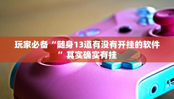 玩家必备“随身13道有没有开挂的软件”其实确实有挂 玩家必备“随身13道有没有开挂的软件”其实确实有挂