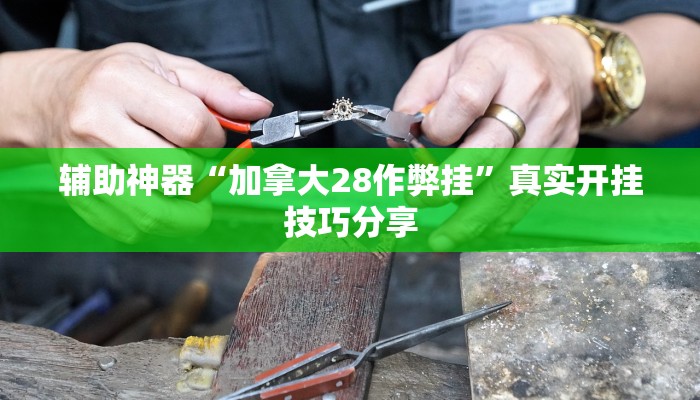 辅助神器“加拿大28作弊挂”真实开挂技巧分享 辅助神器“加拿大28作弊挂”真实开挂技巧分享