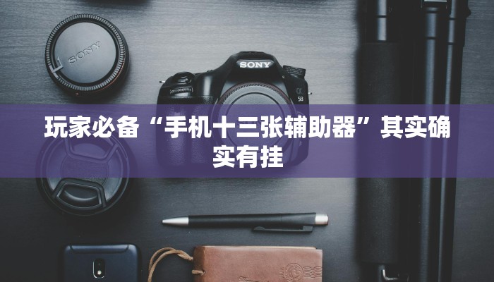 玩家必备“手机十三张辅助器”其实确实有挂