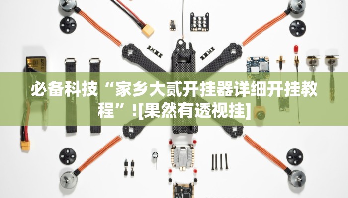 必备科技“家乡大贰开挂器详细开挂教程”![果然有透视挂]