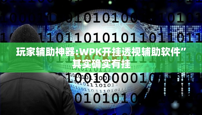 玩家辅助神器:WPK开挂透视辅助软件”其实确实有挂