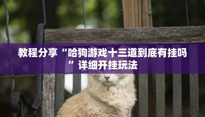 教程分享“哈狗游戏十三道到底有挂吗”详细开挂玩法