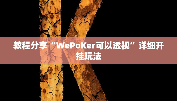 教程分享“WePoKer可以透视”详细开挂玩法